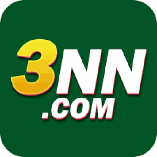 3NN Logo